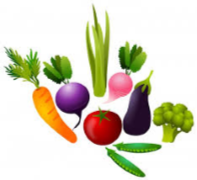 Special Dietary Needs Special Dietary Needs